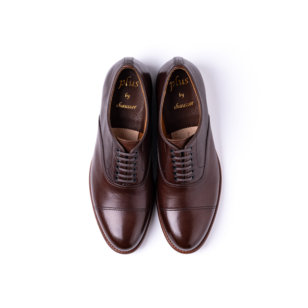 PC-5040 OXFORD SHOES DBR