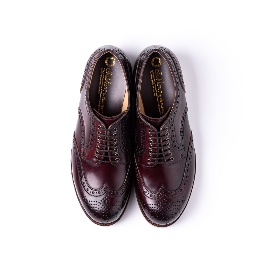 SU-102C CORDOVAN WINGTIP SHOES BGD
