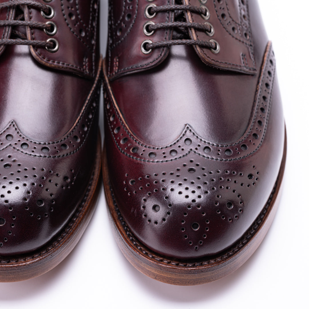 SU-102C CORDOVAN WINGTIP SHOES BGD